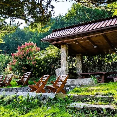 Willa Wielka Puszcza * Porąbka