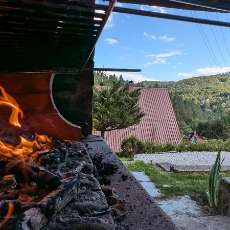 Willa Wielka Puszcza Porąbka