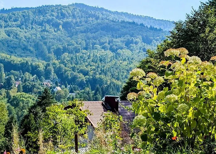 Wielka Puszcza Σπίτι διακοπών